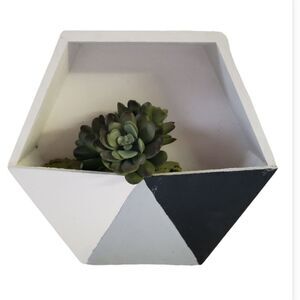 Handpainted Decorative Box w/Succulent